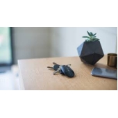 Ajax SpaceControl (qora)